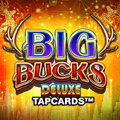 Big Bucks Deluxe Tapcards slot game by Big Time Gaming