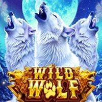 Wild Wolf Xtreme slot game by Spadegaming